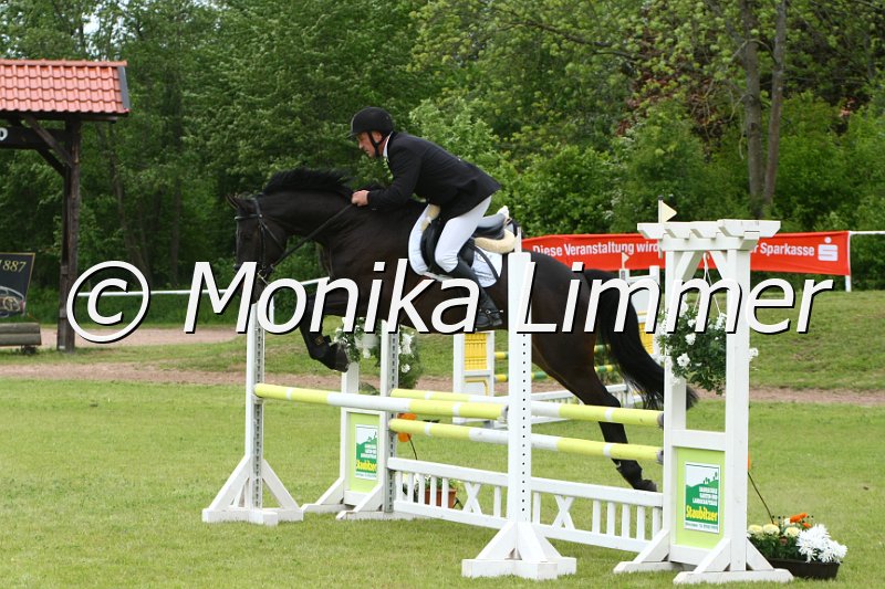 204M0509_Sirius Black_Spr_Pferde_A.JPG